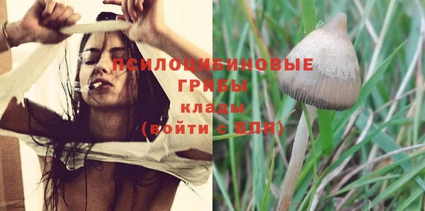 каннабис Белокуриха