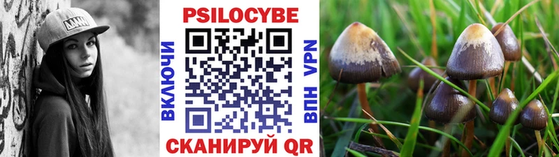 Галлюциногенные грибы GOLDEN TEACHER  Верещагино 
